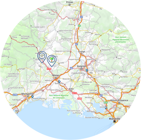 Palmier de Mira et Olivier d'Alana - carte des principales routes