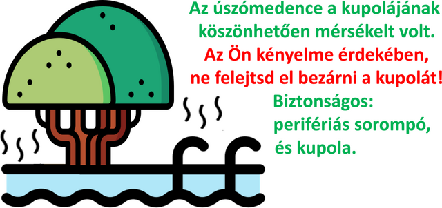 Medence Palmier de Mirában